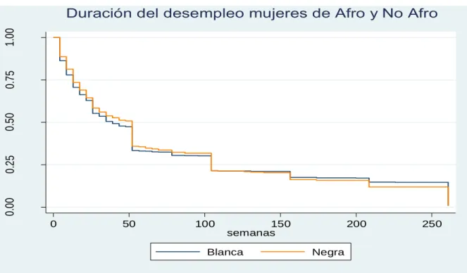 Gráfico 5.1 
