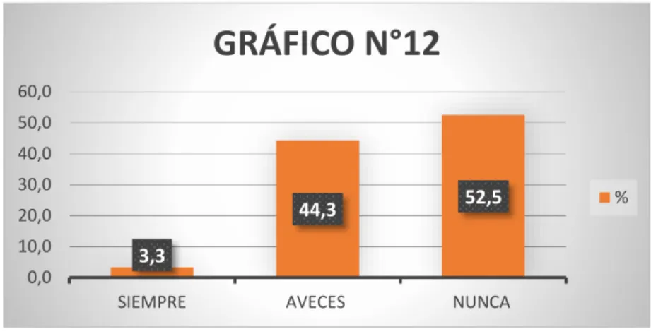 GRÁFICO N°12