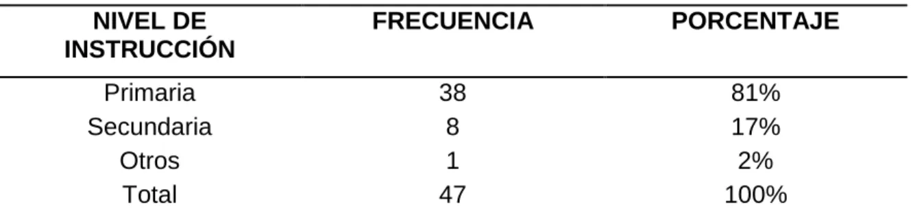 GRÁFICO  N° 12 