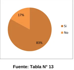 GRÁFICO N° 13 
