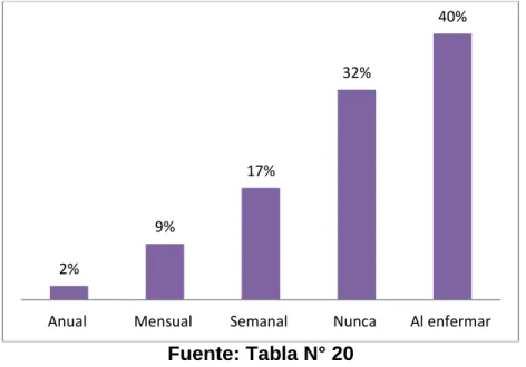 GRÁFICO N° 20 