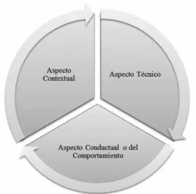 Figura 5. Estándar IPMA