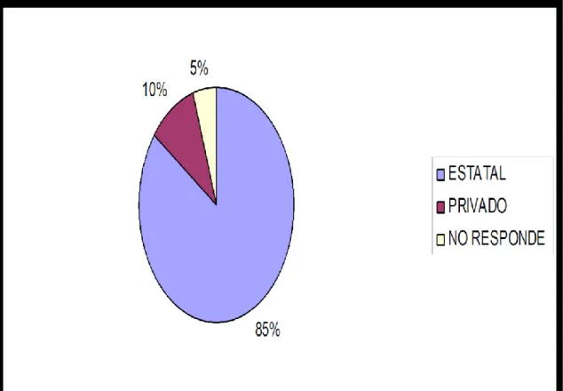 Gráfico 5. Formación docente. 