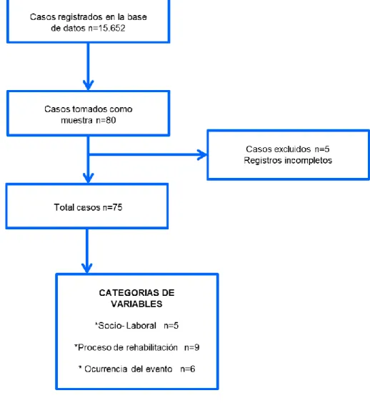 Figura 3. Categorías de Variables. 