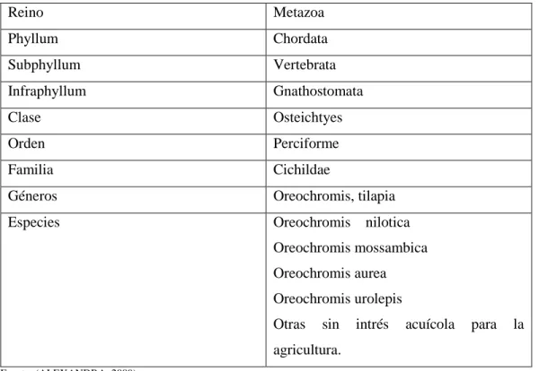 Tabla 1-2: Taxonomía de la Tilapia  