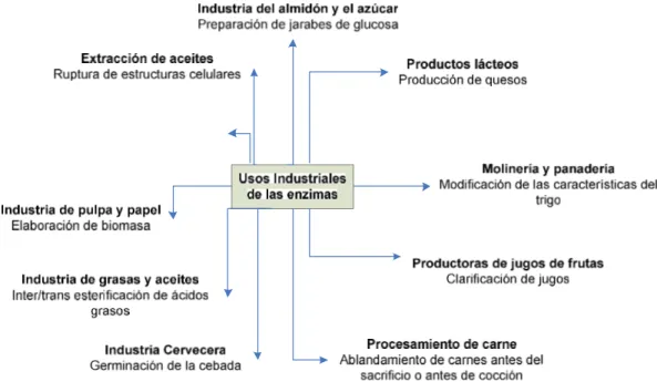 Figura 6. Usos industriales de las enzimas