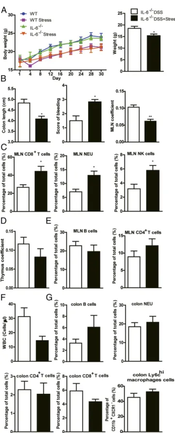 Fig. 3. Genetic deletion of IL-6 failed to terminate the effect of chronic stress.(A) Body weight before DSS and body weight at the time of  eutha-nasia (n = 5)
