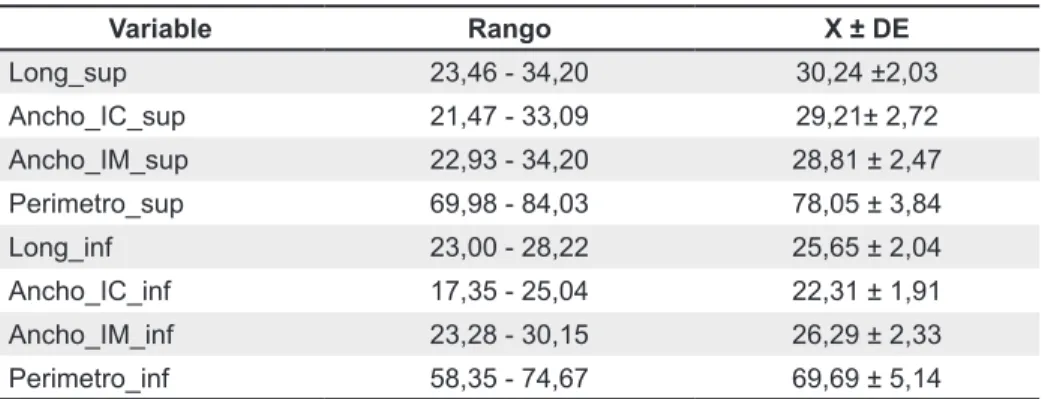 Tabla 2. Dimensiones de los arcos Promedio en T1