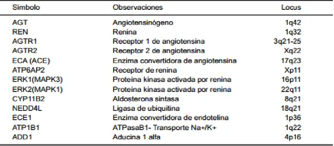 Tabla 3. Algunos genes relacionados con hipertensión esencial 