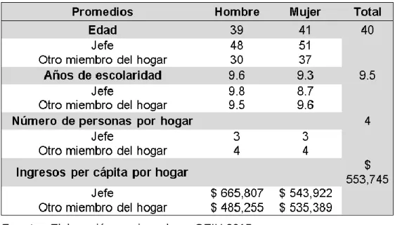 Tabla 3 : Composición del hogar promedio. 