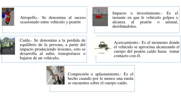 Figura 7. Factores de accidentes 
