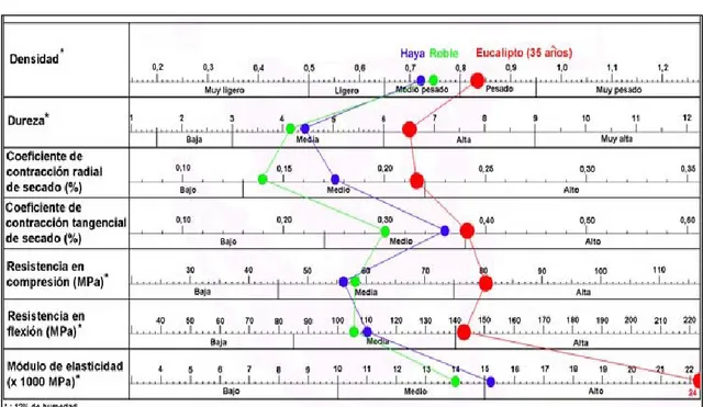 Gráfico Nº. 8: Principales Características  de ( Eucalyptus globulus labil)