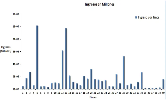 Figura  5. Ingresos Monetarios por Fincas Estudiadas.