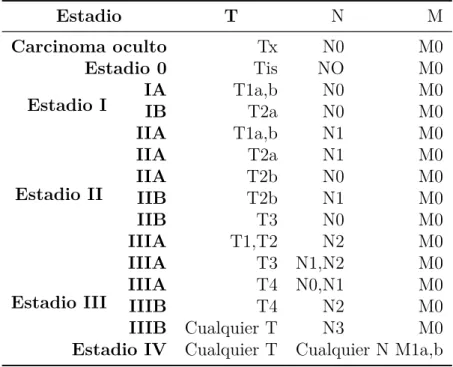 Tabla 2.3: Estadificación del carcinoma pulmonar.