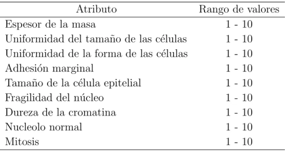 Tabla 3.3: Atributos empleados para la clasificaci´on del c´ancer de mama.