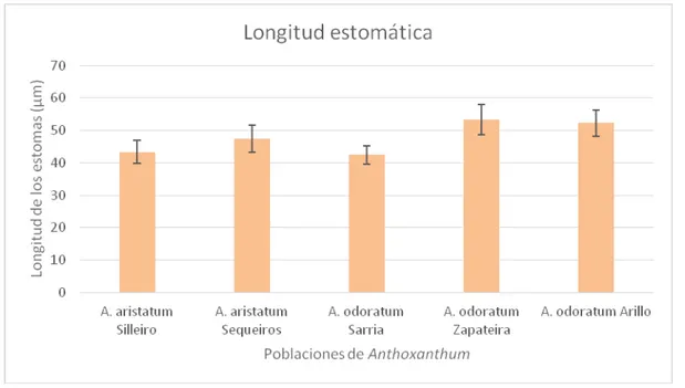 Figura 6. Representación gráfica de la longitud de los estomas para cada población. 