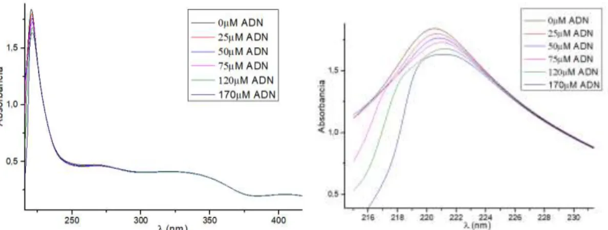 Figura  9:  Variación  do  espectro  de  absorbancia  do  complexo  4  ()  ao  engadir  cantidades  crecentes de ADN