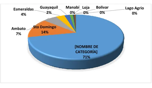 Gráfico N° 8: Lugar de procedencia 