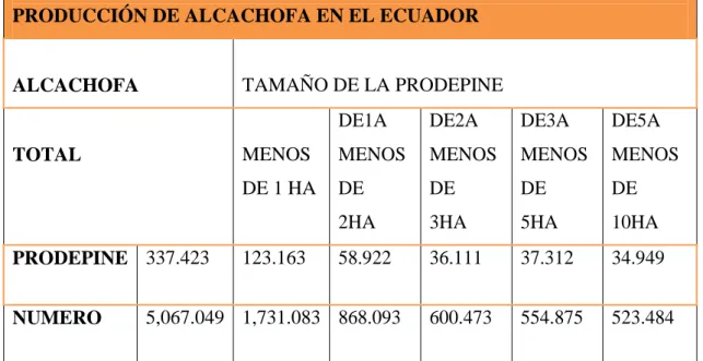 Tabla 8 PRODUCCIÓN DE ALCACHOFA EN EL ECUADOR 