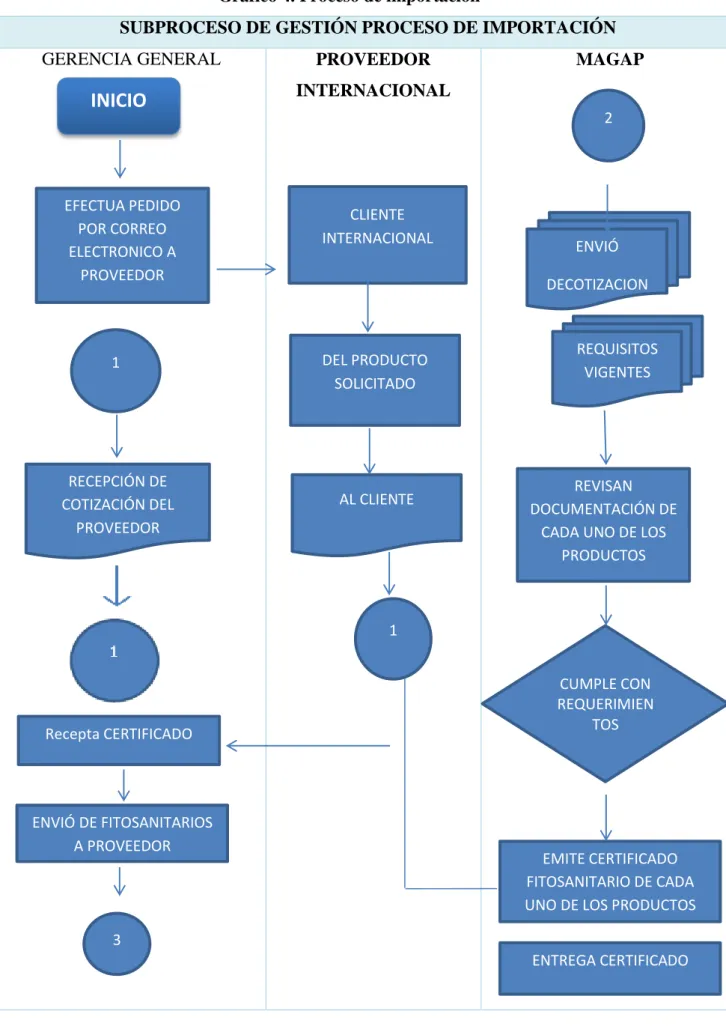 Gráfico 4. Proceso de importación 