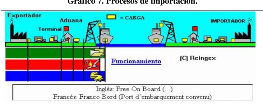 Gráfico 7. Procesos de importación. 