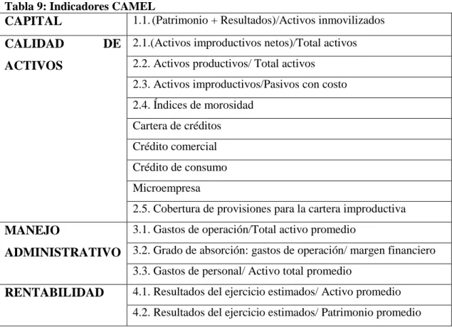 Tabla 9: Indicadores CAMEL 