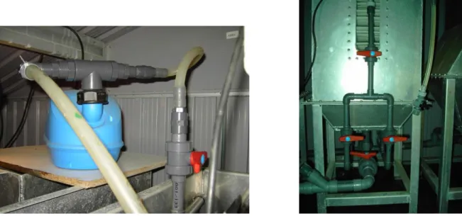 Figura 3.8.- La soplante (izda.) y el sistema de reparto de aire al seno líquido del reactor  (dcha.)