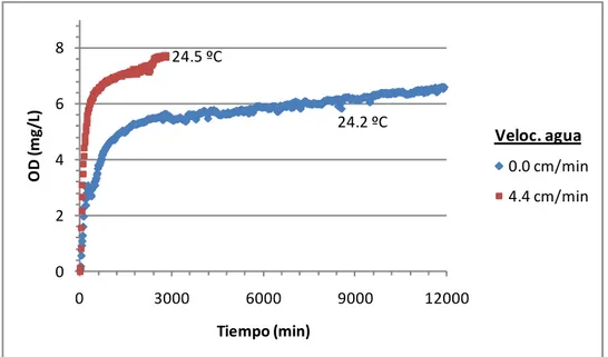 Figura 3.14.- Efecto de la velocidad del agua sobre la dinámica del OD durante ensayos de  aireación “membrana cerrada”
