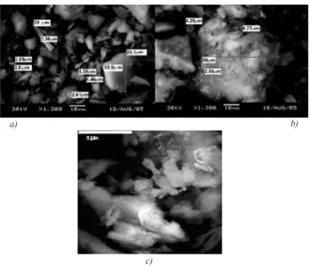 Figure 1 shows the scanning electron microscopy  (SEM) of TRHA, ChRHA and MK, using the  ZEISS 960 DSM (Digital Scanning Microscope)  device