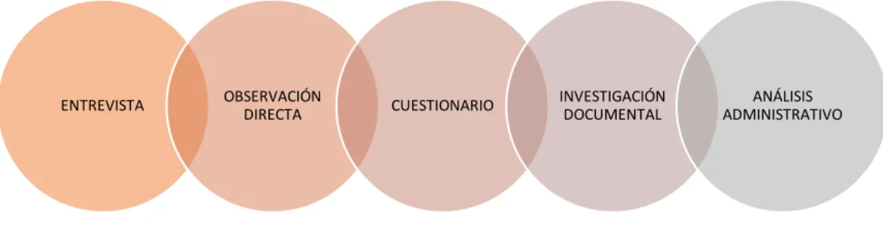 Gráfico  4. Técnicas de Auditoría 