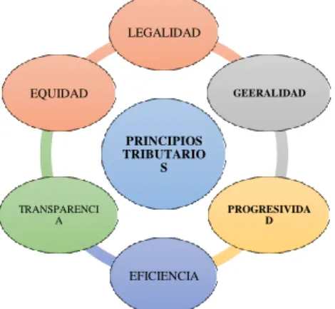 Gráfico  6. Principios Tributarios 