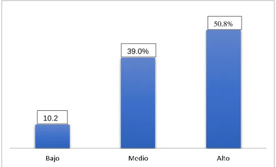 GRÁFICO 06 