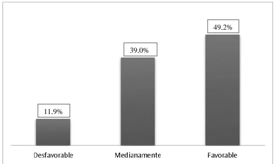 GRÁFICO Nº 08 