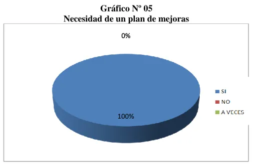 Gráfico Nº 05 