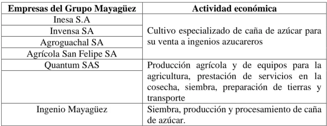 TABLA Nº 6. EMPRESAS Y ACTIVIDAD ECONÓMICA DEL GRUPO MAYAGÜEZ. 