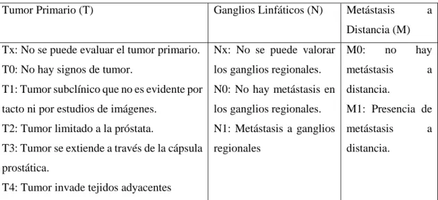 Figura 5-1. Agrupación de los estadios de cáncer de próstata 