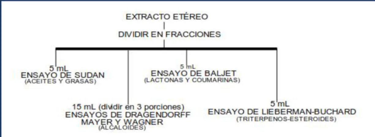 Figura 3-2: Reacciones efectuadas en el extracto etéreo 