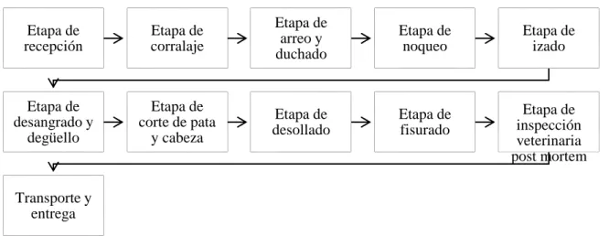 Gráfico 1-1: Proceso del faenamiento de ganado.  