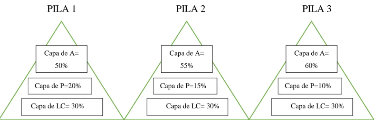 Gráfico 3-2: Modelo para las pilas (P1, P2, P3)  de compostaje  