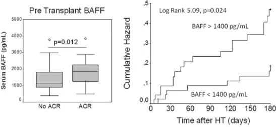 Figure 5 Pre-transplant levels of BAFF were significantly lower in heart recipients developing acute cellular rejection after  transplantation