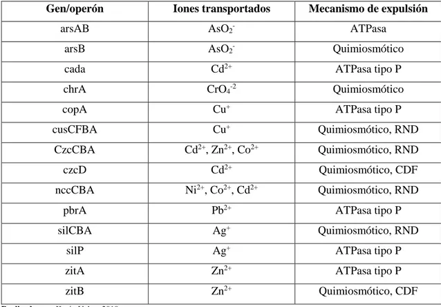 Tabla 2-1: Sistemas bacterianos para expulsión de iones inorgánicos tóxicos. 