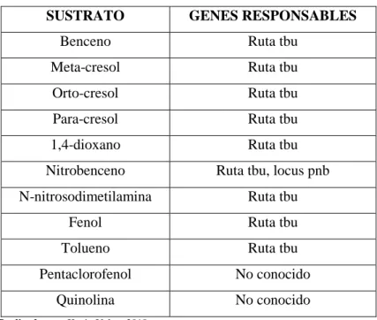 Tabla 4-1: Compuestos tóxicos degradados por R. pickettii. 