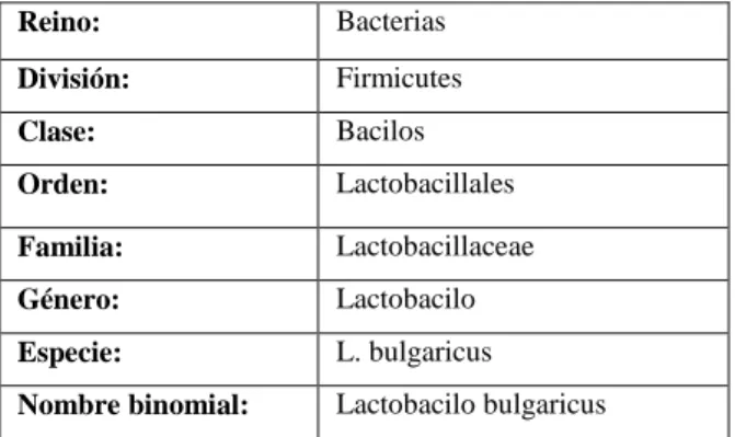 Tabla 2-1: Clasificación Científica Lactobacillus bulgaricus 