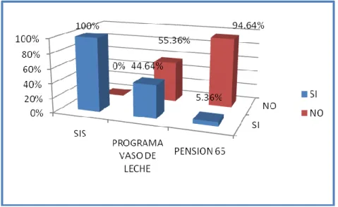 GRÁFICO N° 9 