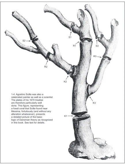Figura 7. Stephen Jay Gould, The Structure of Evolutionary Theory (2002), p. 18. La lá- lá-mina está tomada de la lálá-mina 17ª, que representa un coral
