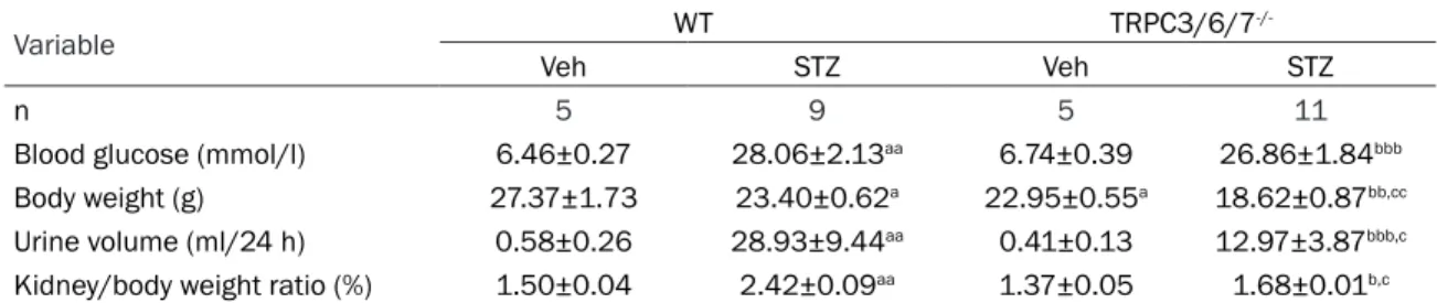 Table 2. Characteristics of WT and TRPC3/6/7 -/-  mice 12 weeks after vehicle or STZ injection