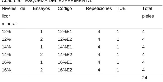 Cuadro 5.   ESQUEMA DEL EXPERIMENTO.  