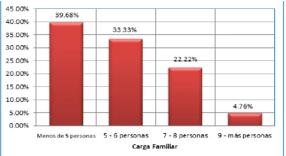 Gráfico N° 6 