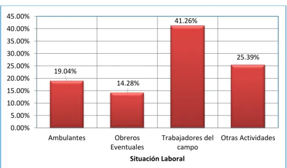 Gráfico N° 7 