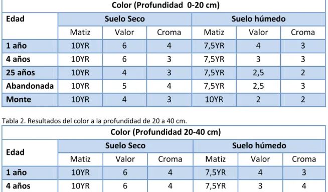 Tabla 1. Resultados del color a la profundidad de 0 a 20 cm. 